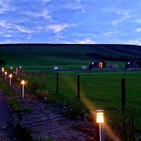 Lilly'S Lodges Orkney Hedgehog Lodge Finstown 외부 사진