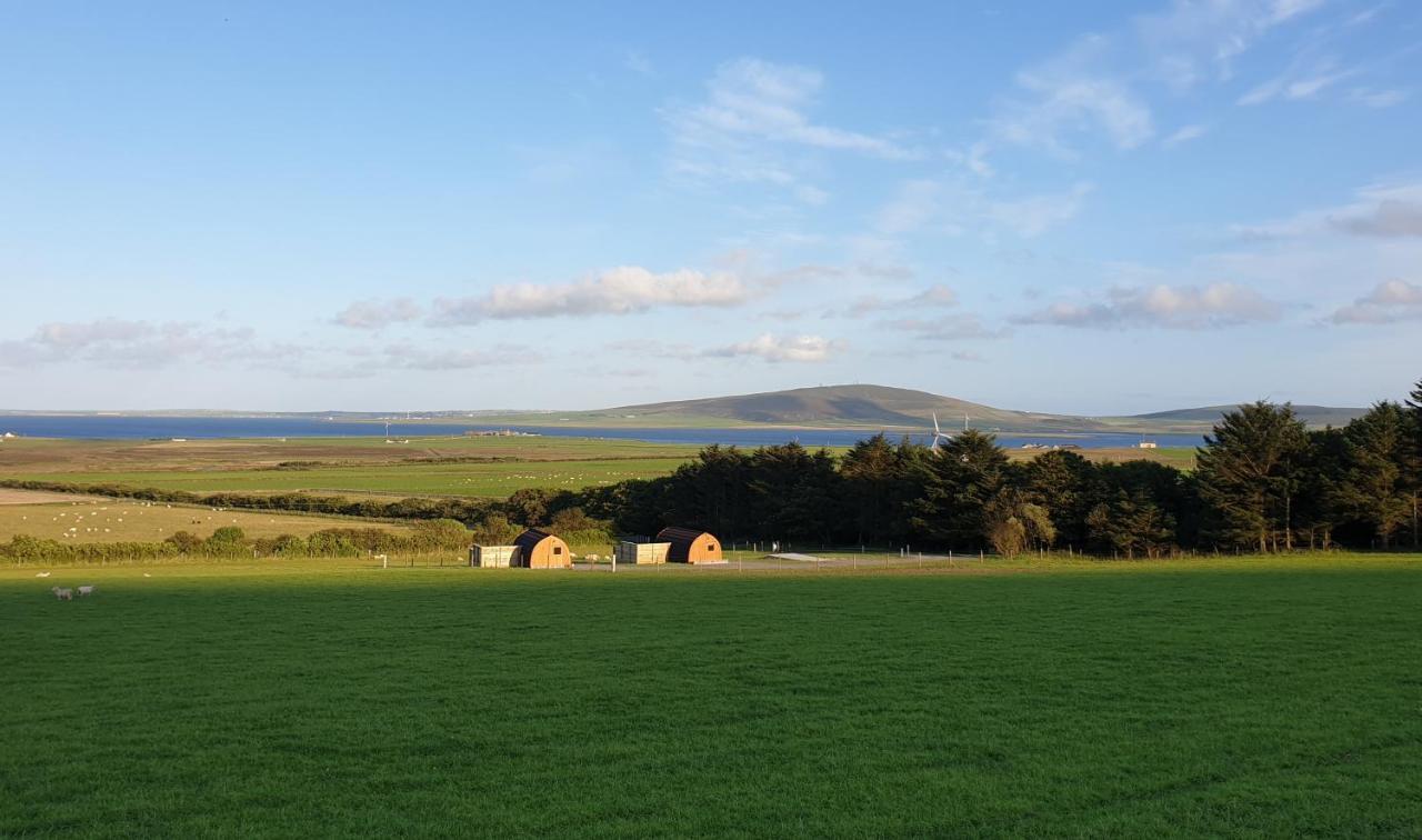 Lilly'S Lodges Orkney Hedgehog Lodge Finstown 외부 사진
