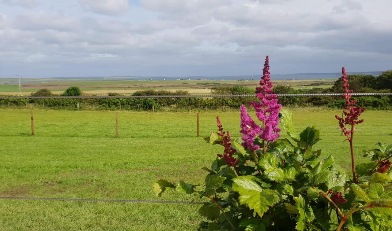 Lilly'S Lodges Orkney Hedgehog Lodge Finstown 외부 사진