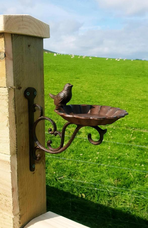 Lilly'S Lodges Orkney Hedgehog Lodge Finstown 외부 사진