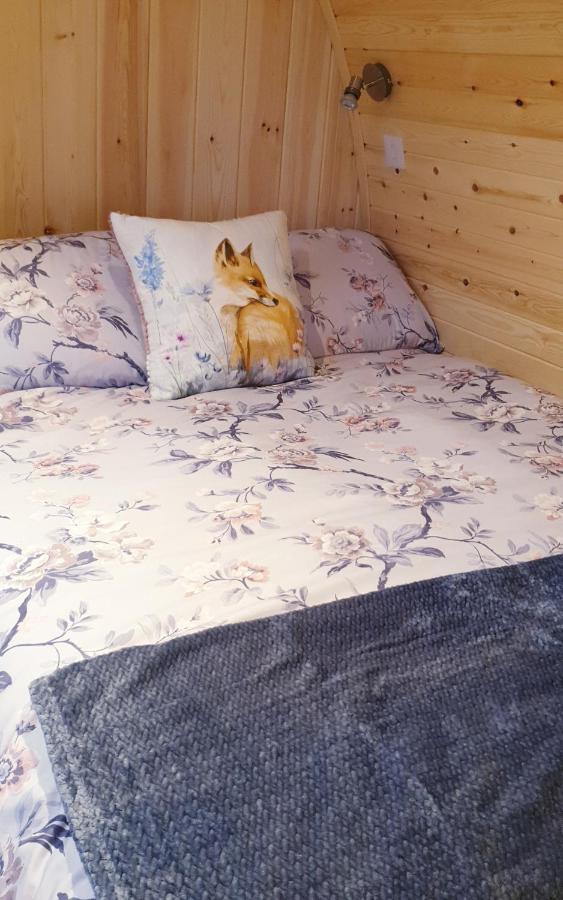 Lilly'S Lodges Orkney Hedgehog Lodge Finstown 외부 사진